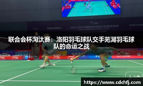 联合会杯淘汰赛：洛阳羽毛球队交手芜湖羽毛球队的命运之战